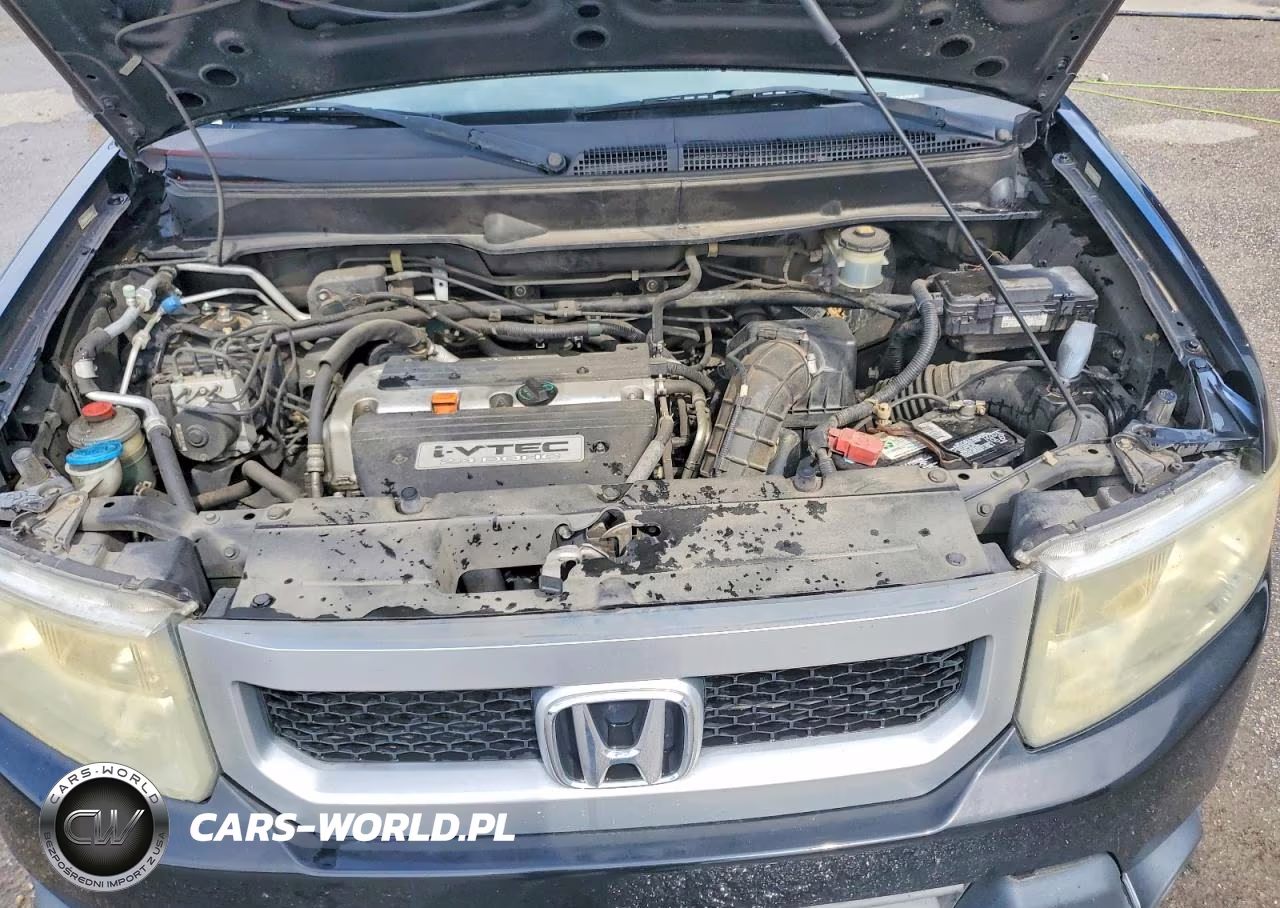 2011 Honda Element Ex VIN:5J6YH1H71BL000295 - 11