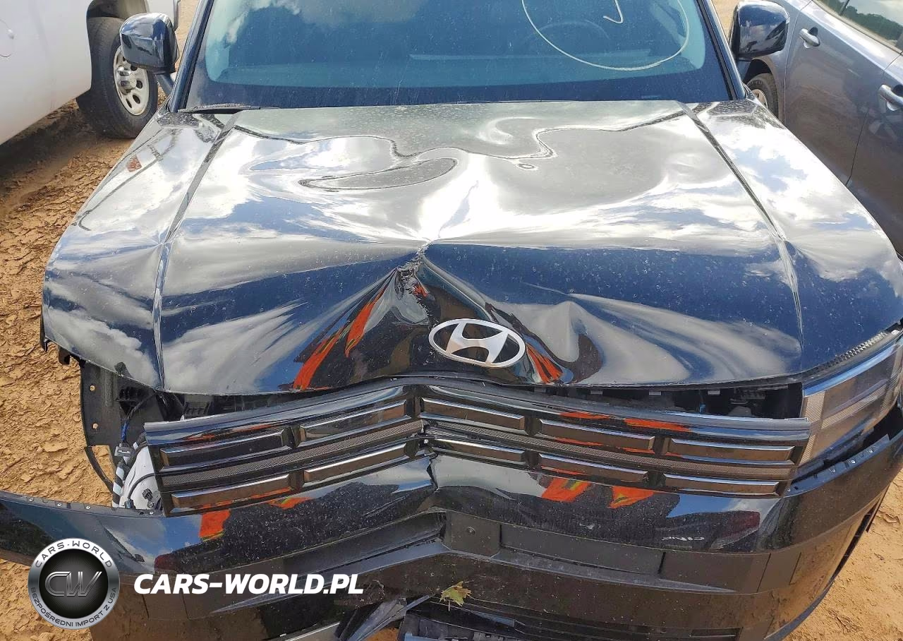 2024 Hyundai Santa Fe Limited VIN:5NMP44GL3RH046462 - 12