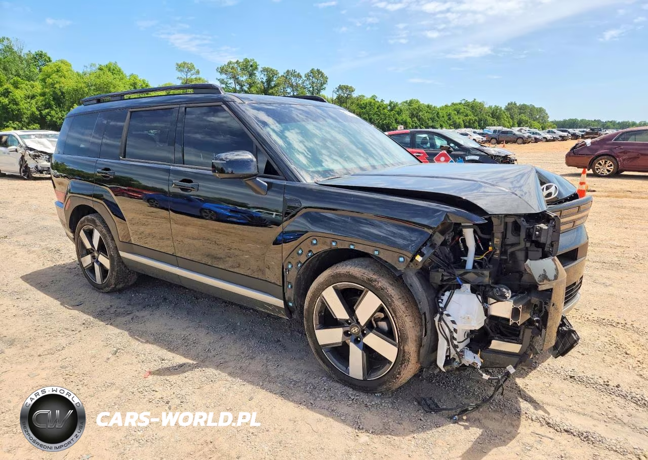 2024 Hyundai Santa Fe Limited VIN:5NMP44GL3RH046462 - 4
