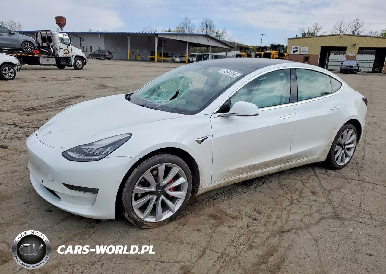 2019 Tesla Model 3