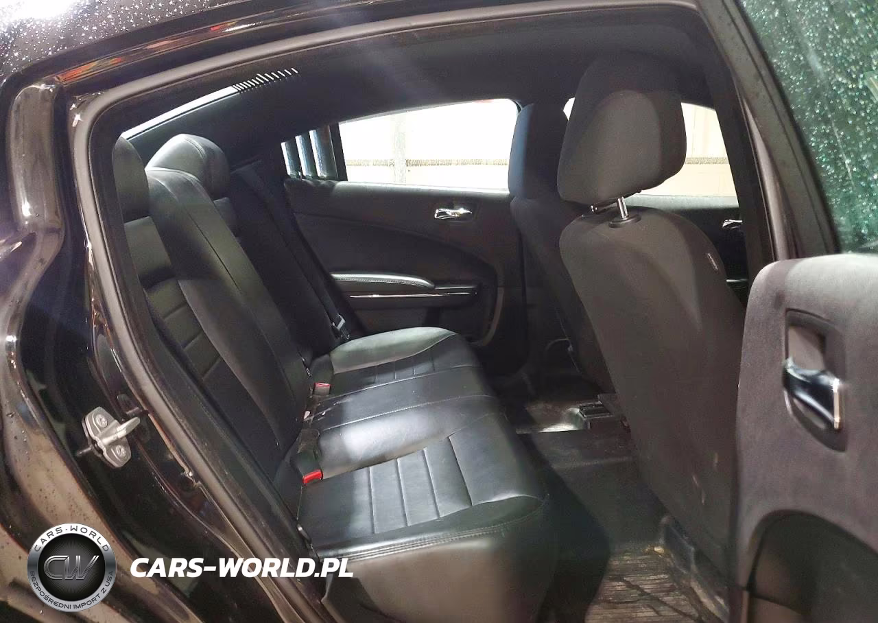 2014 Dodge Charger Police VIN:2C3CDXAG8EH332278 - 10