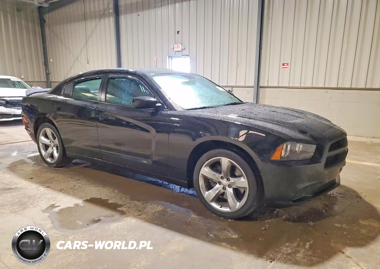 2014 Dodge Charger Police VIN:2C3CDXAG8EH332278 - 4