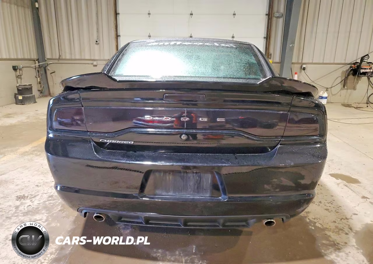 2014 Dodge Charger Police VIN:2C3CDXAG8EH332278 - 6