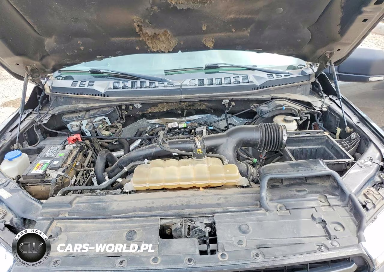 2019 Ford F150 Supercrew VIN:1FTEW1EP8KFC31499 - 11