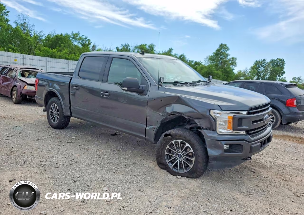 2019 Ford F150 Supercrew VIN:1FTEW1EP8KFC31499 - 4