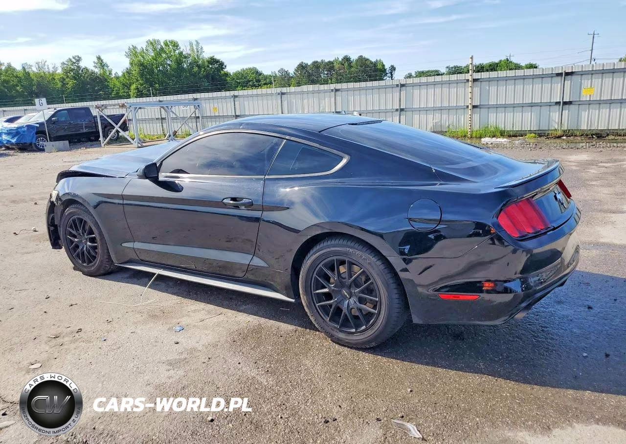 2017 Ford Mustang VIN:1FA6P8AM3H5237303 - 2
