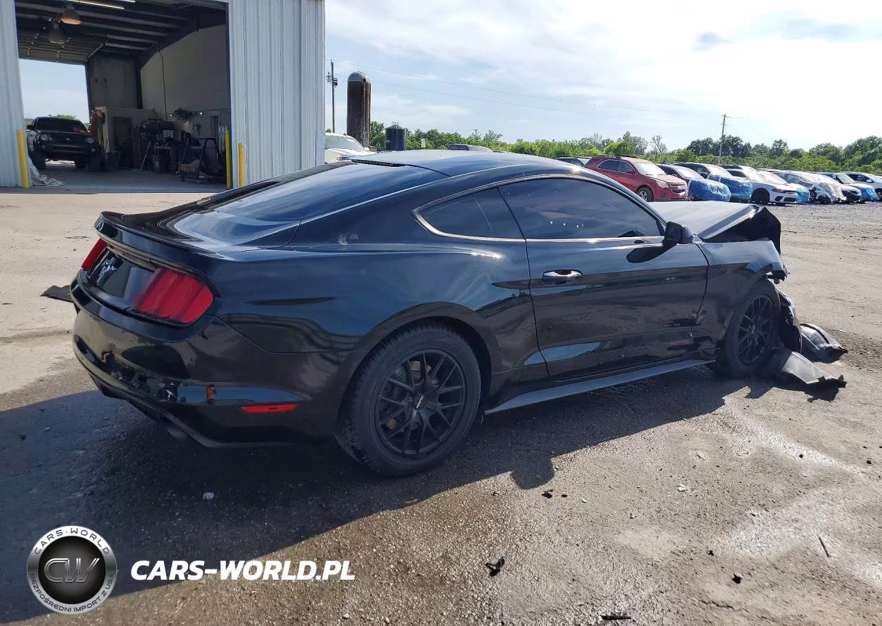 2017 Ford Mustang VIN:1FA6P8AM3H5237303 - 3
