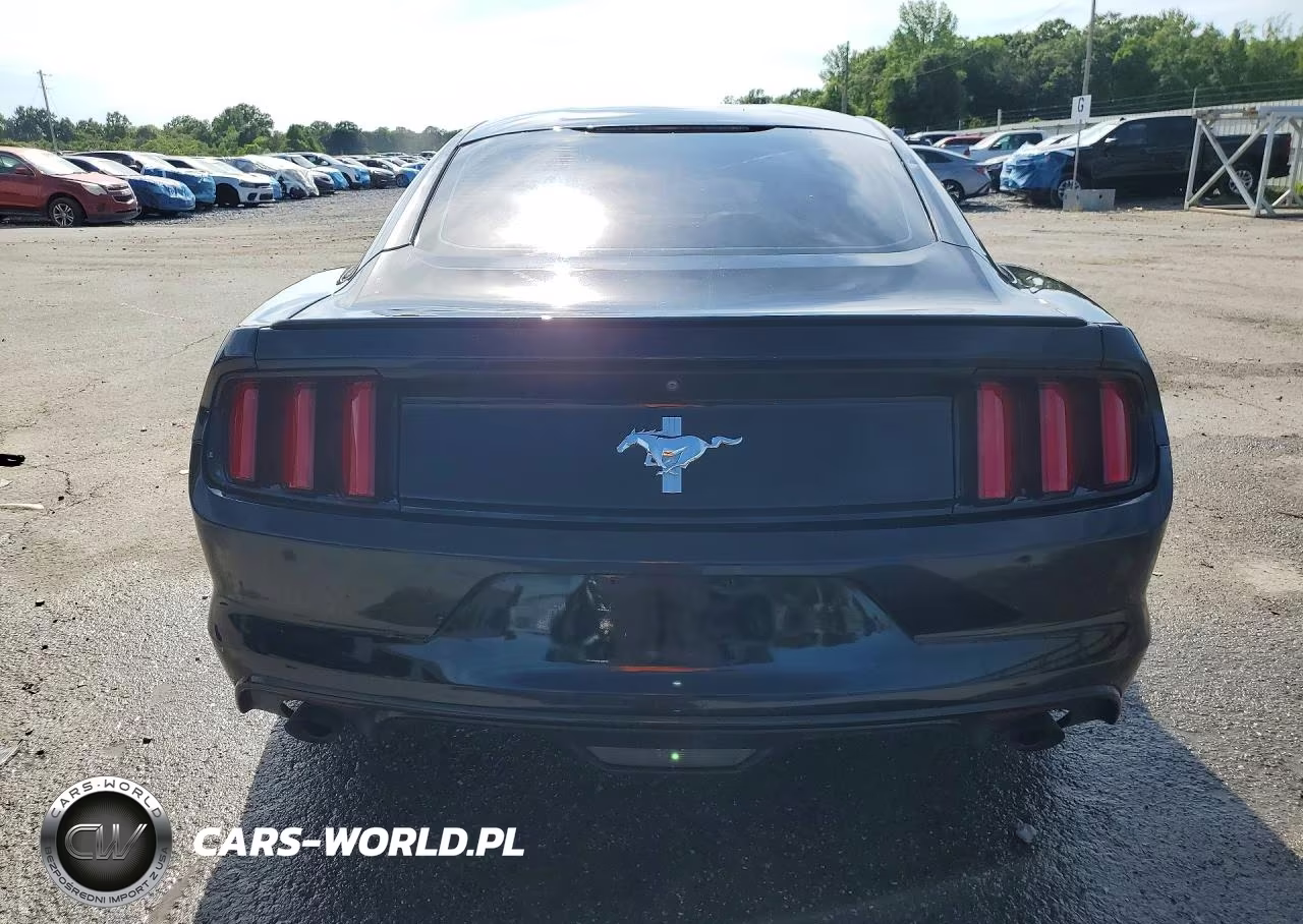 2017 Ford Mustang VIN:1FA6P8AM3H5237303 - 6