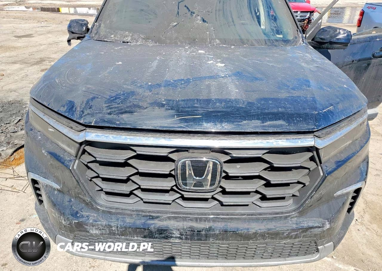 2024 Honda Pilot Exl VIN:5FNYG1H43RB020804 - 12