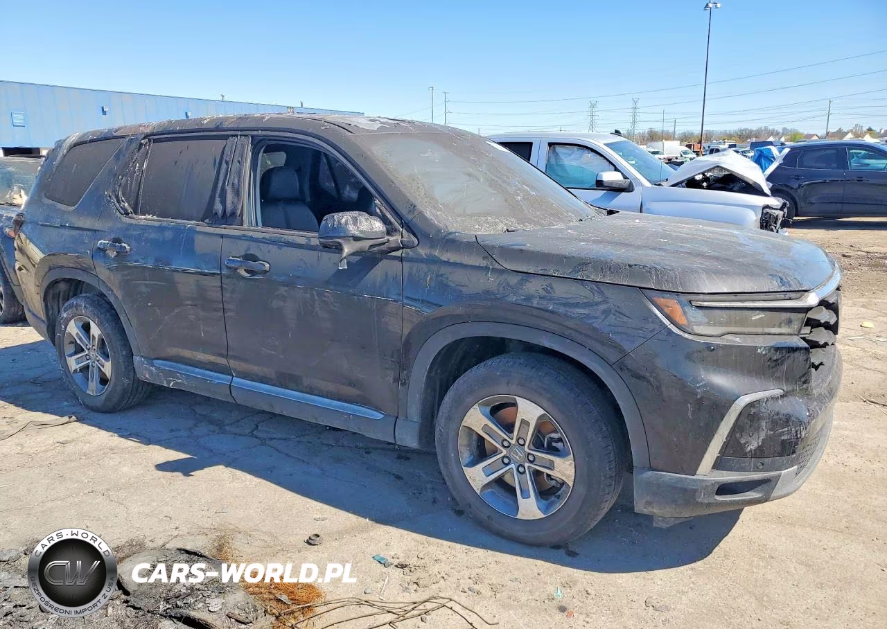 2024 Honda Pilot Exl VIN:5FNYG1H43RB020804 - 4