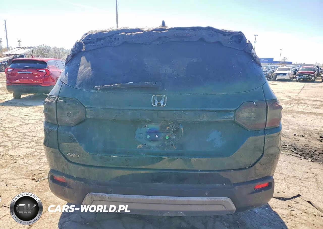 2024 Honda Pilot Exl VIN:5FNYG1H43RB020804 - 6