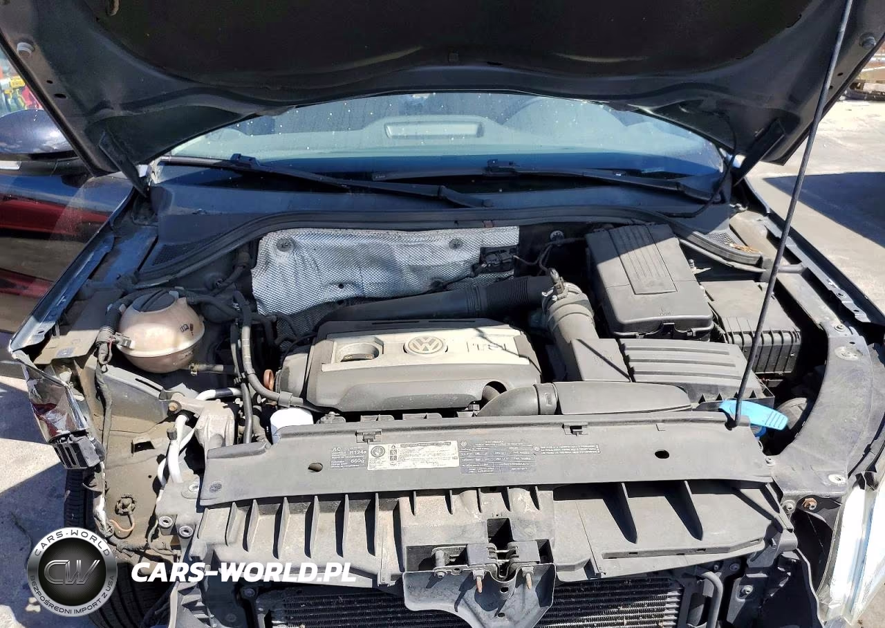 2010 Volkswagen Tiguan Se VIN:WVGBV7AX5AW521529 - 11