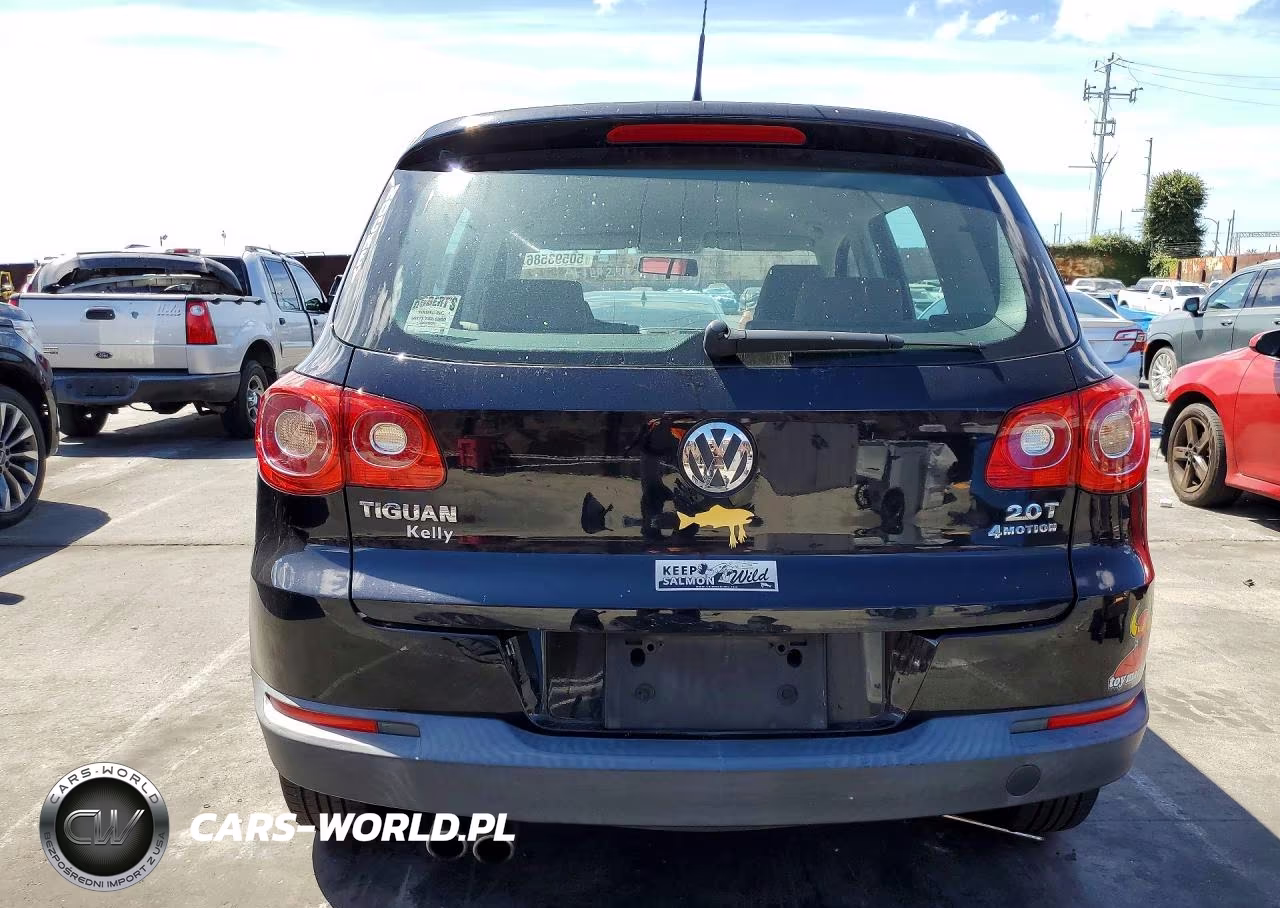 2010 Volkswagen Tiguan Se VIN:WVGBV7AX5AW521529 - 6