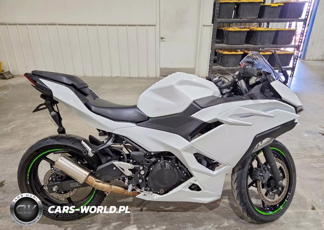 2025 Kawasaki Ex500 H
