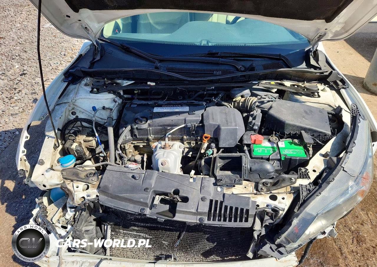 2013 Honda Accord Exl VIN:1HGCR2F84DA018174 - 11