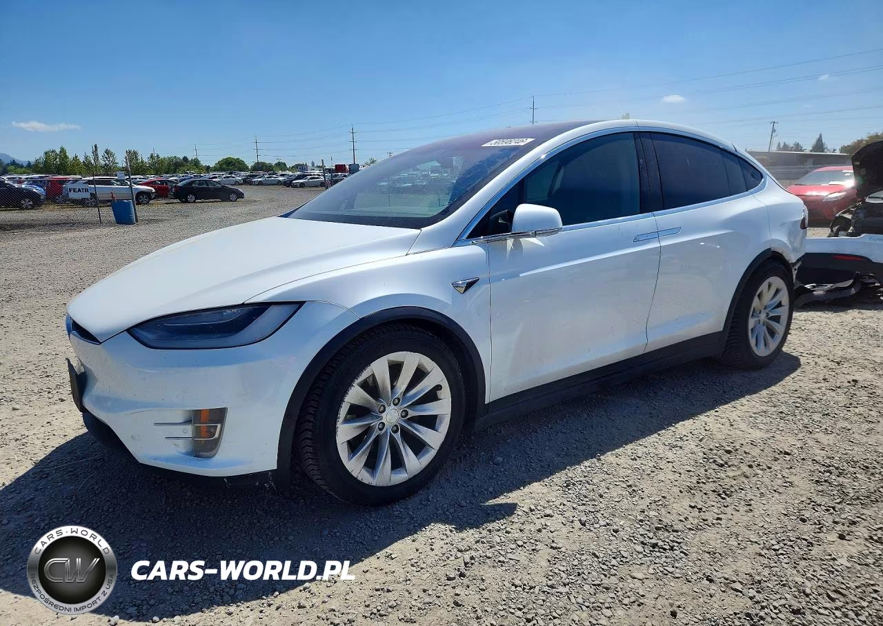 2020 Tesla Model X