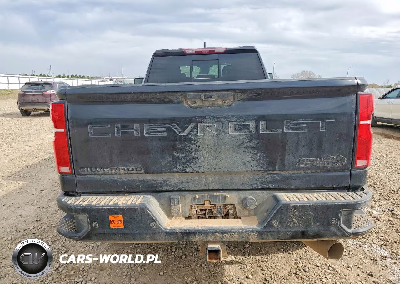 2024 Chevrolet Silverado K3500 High Country VIN:1GC4YVEY3RF405379 - 6
