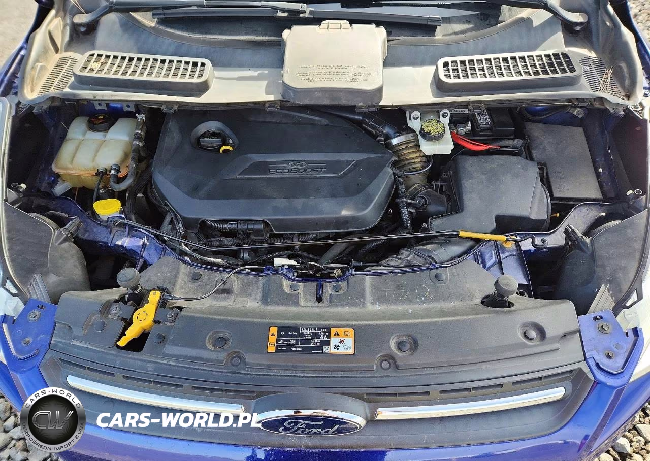 2014 Ford Escape Se VIN:1FMCU9GX2EUA86755 - 12