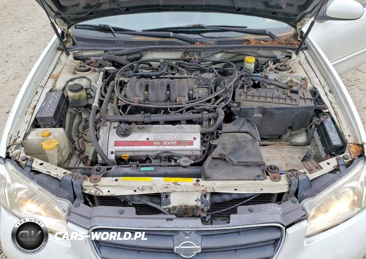 2001 Nissan Maxima Gxe VIN:JN1CA31A01T318884 - 11
