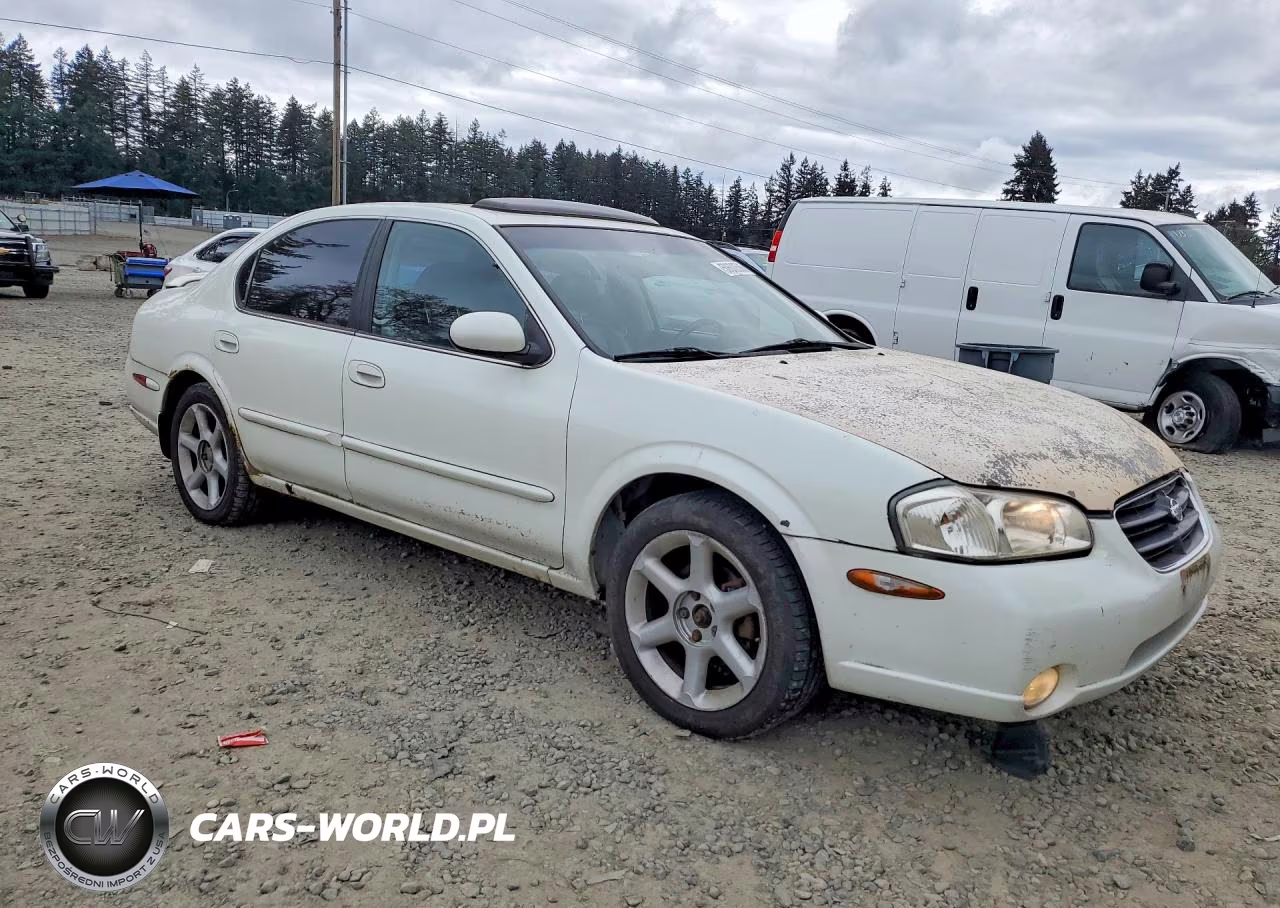 2001 Nissan Maxima Gxe VIN:JN1CA31A01T318884 - 4