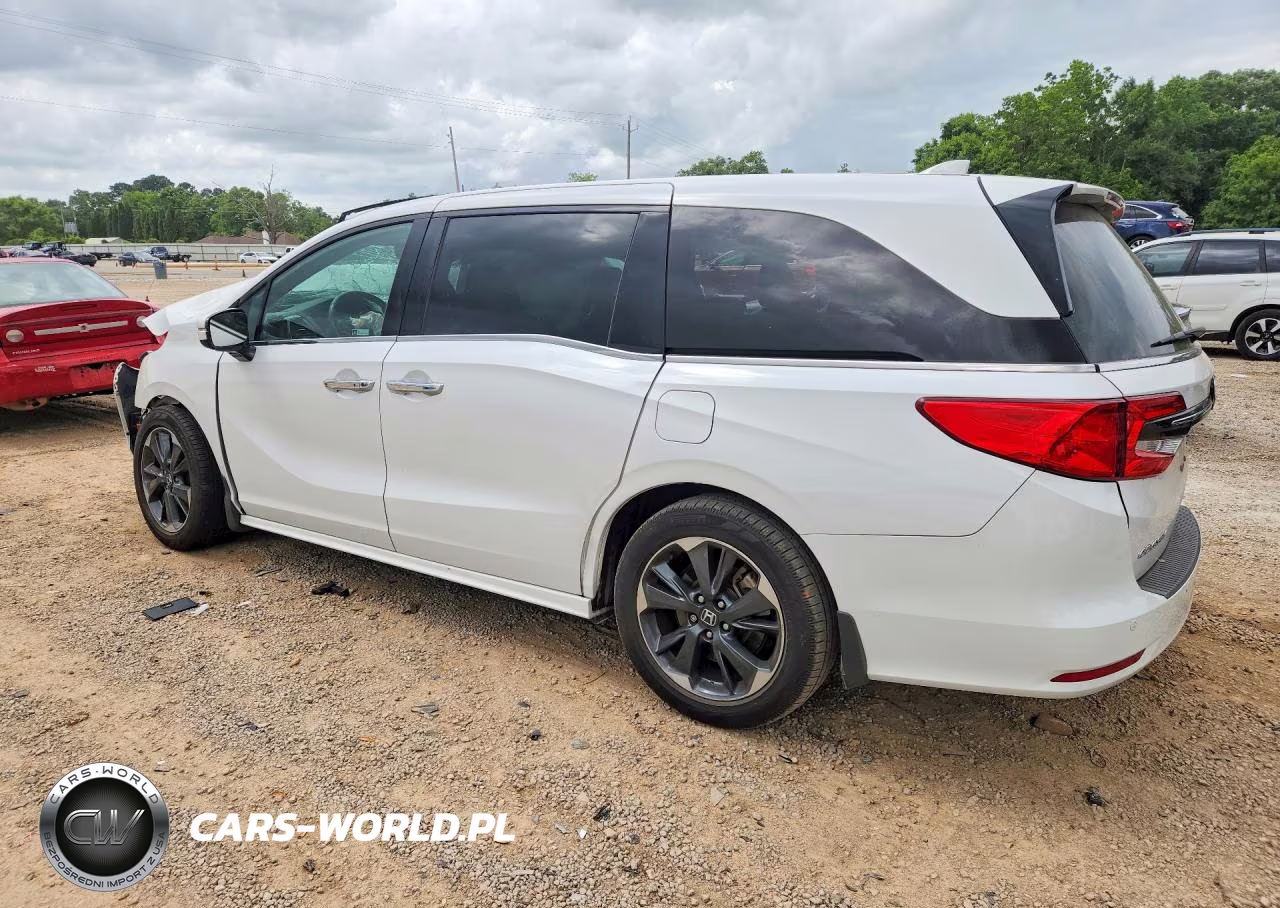2023 Honda Odyssey Elite VIN:5FNRL6H94PB008263 - 2