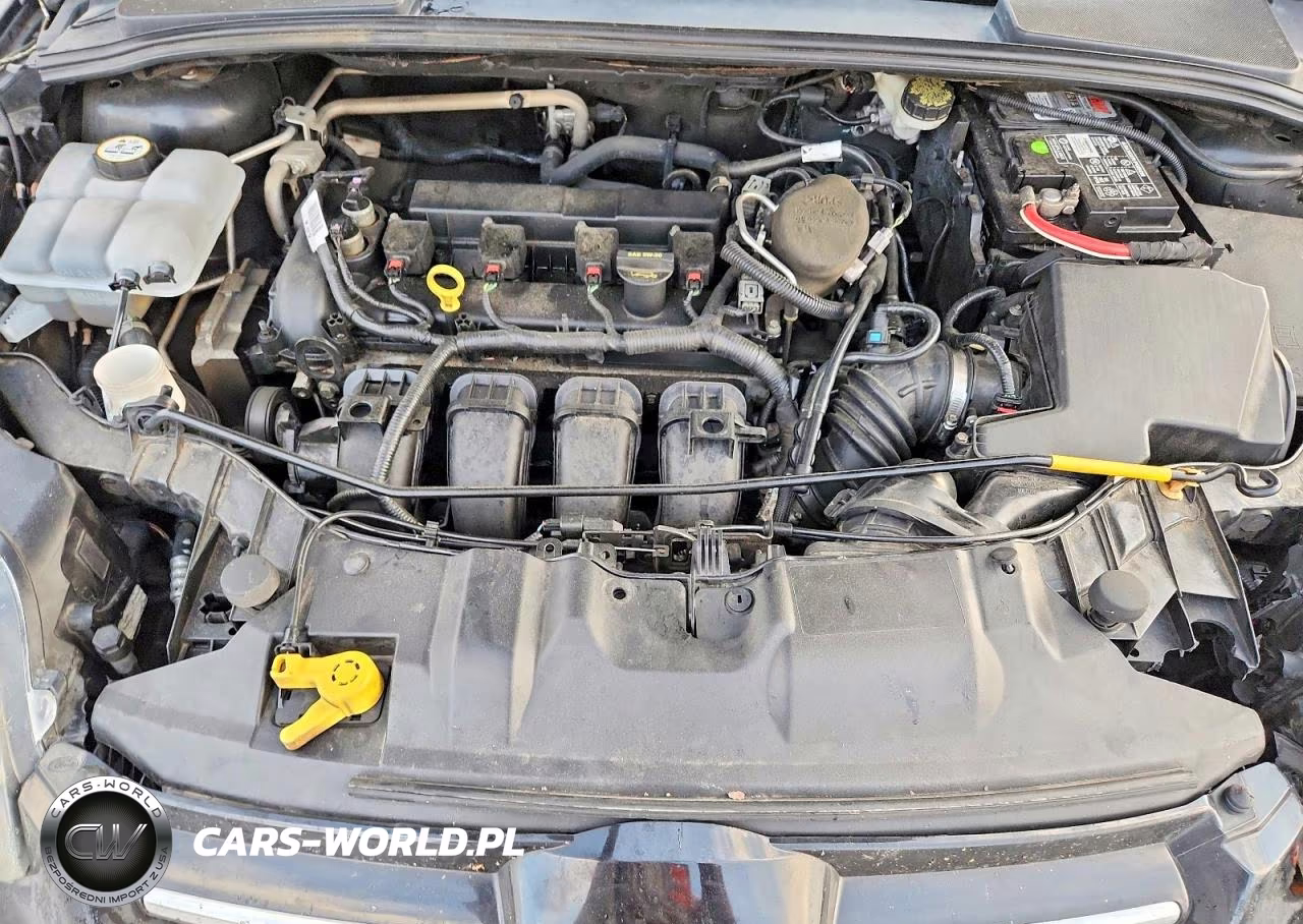 2013 Ford Focus Titanium VIN:1FADP3N27DL317597 - 11