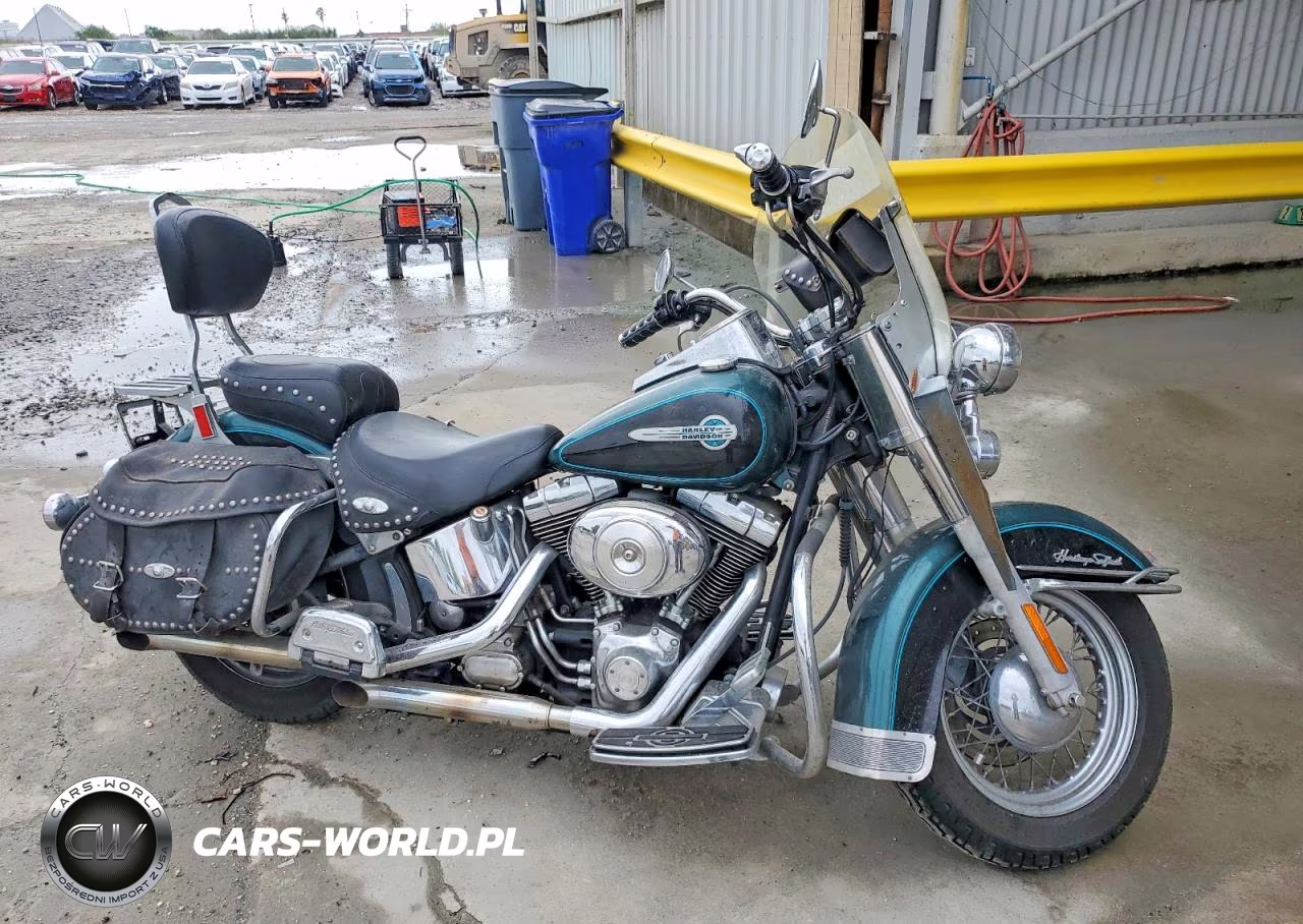 2002 Harley-Davidson Flstc
