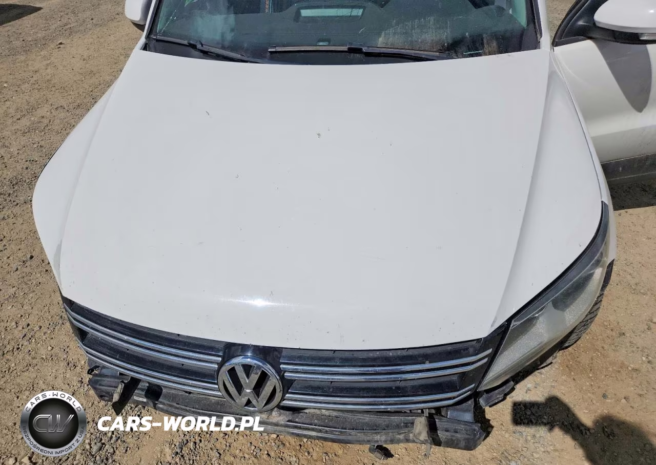 2013 Volkswagen Tiguan S VIN:WVGBV3AX5DW569867 - 11