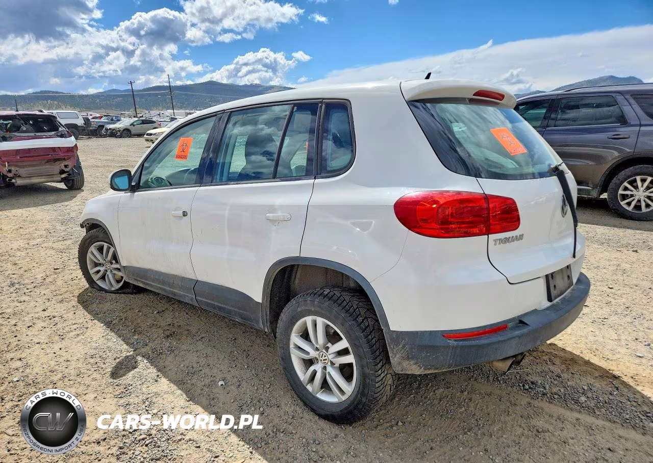 2013 Volkswagen Tiguan S VIN:WVGBV3AX5DW569867 - 2