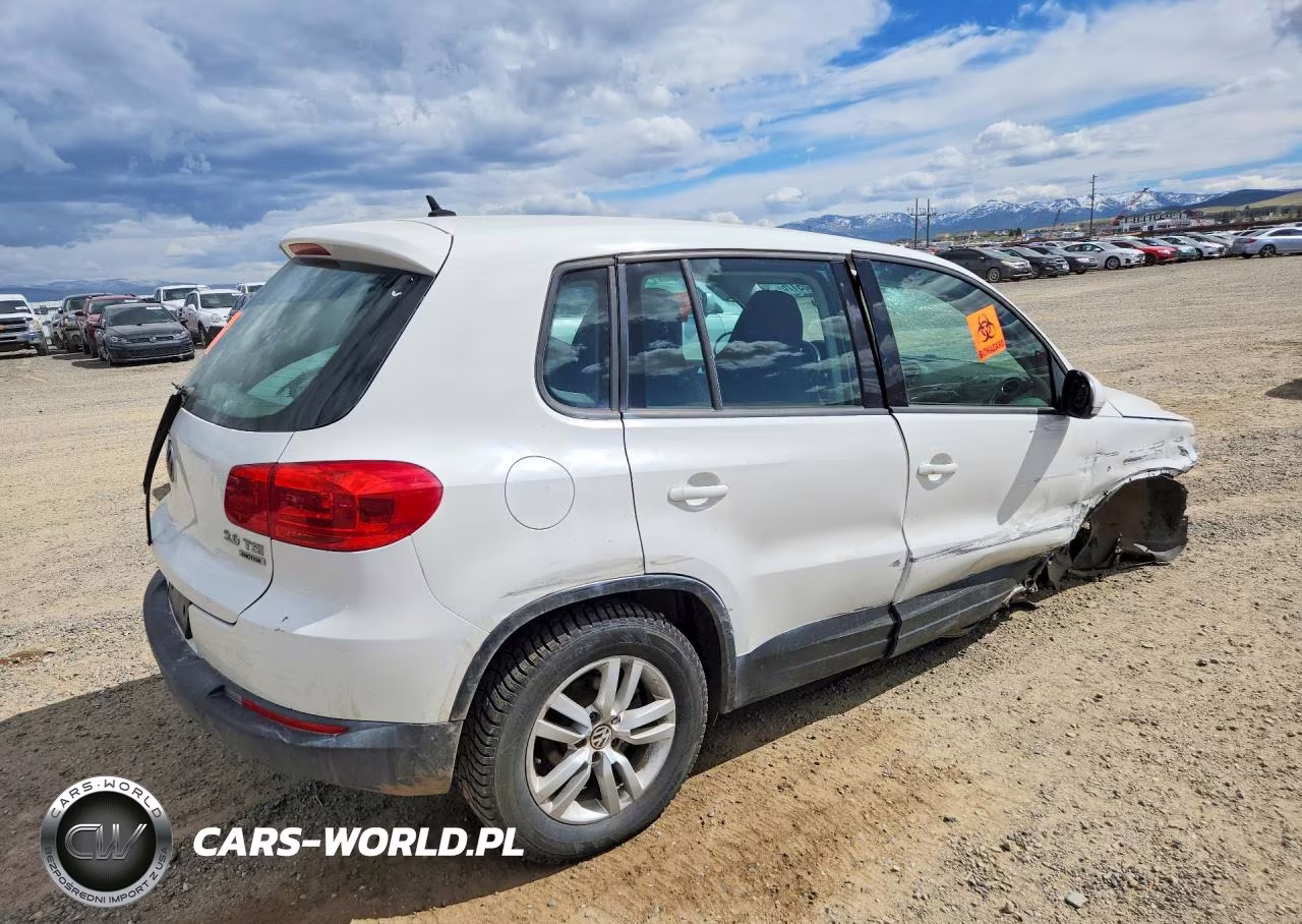 2013 Volkswagen Tiguan S VIN:WVGBV3AX5DW569867 - 3
