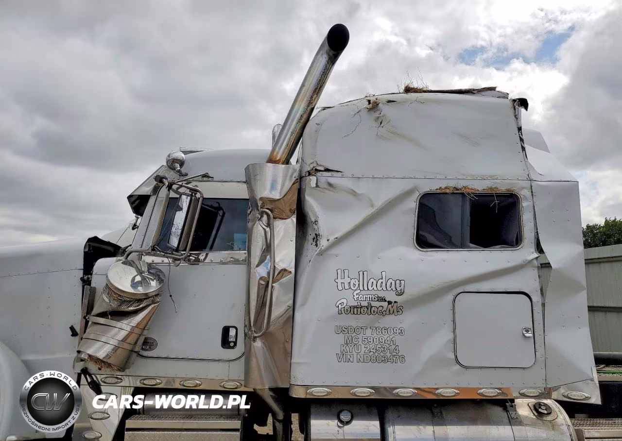 2022 Peterbilt 389 Semi Truck VIN:1XPXD49X7ND803476 - 10