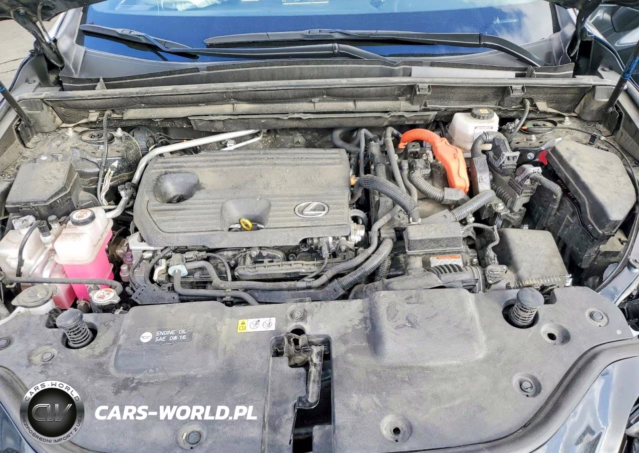 2024 Lexus Nx 350H Base VIN:JTJAKCEZ5R5018420 - 12