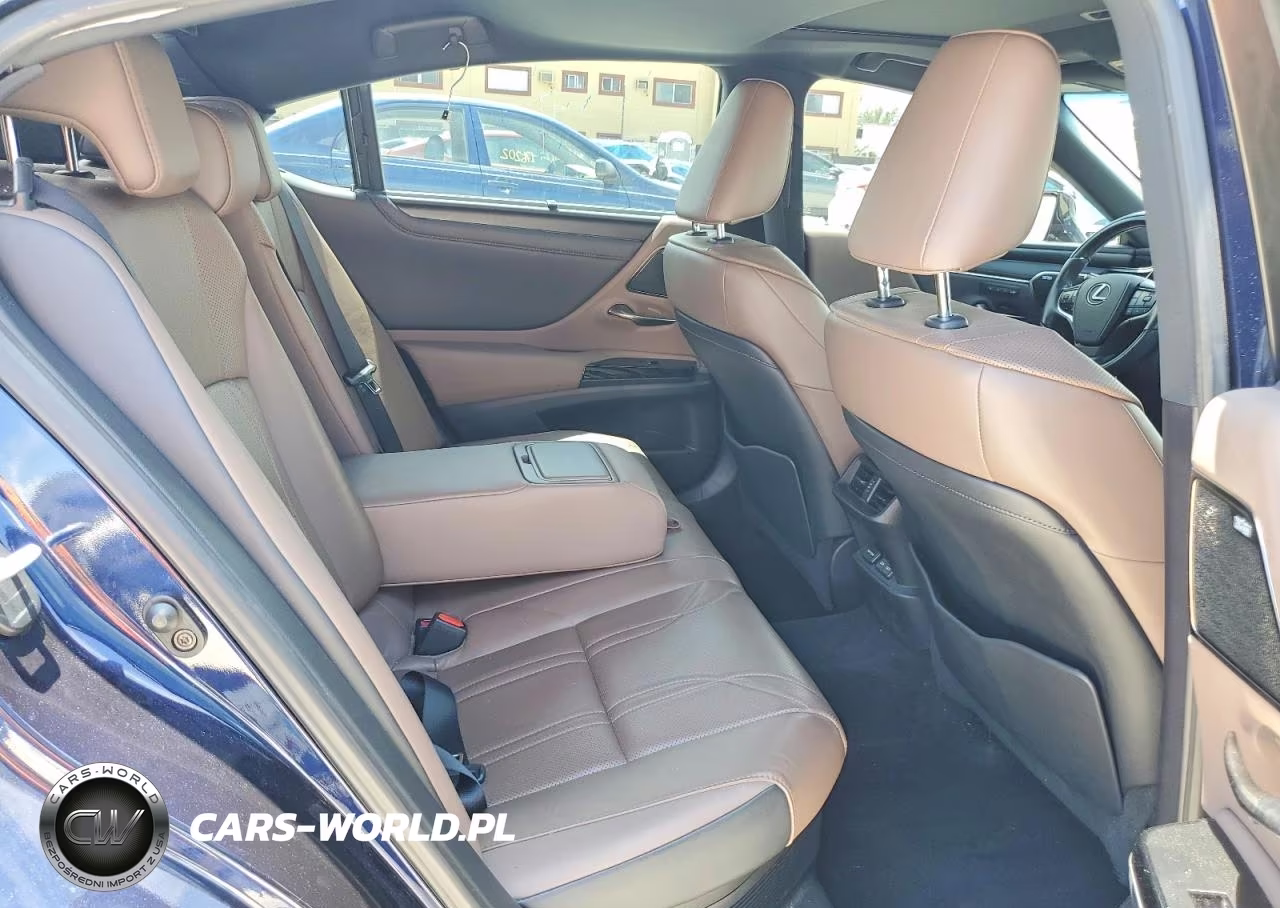 2022 Lexus Es 300H Ultra Luxury VIN:58AFA1C18NU025444 - 10