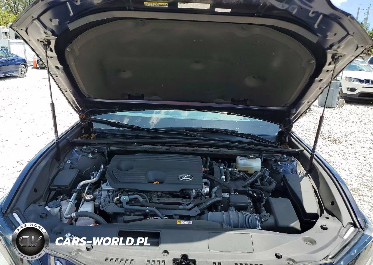 2022 Lexus Es 300H Ultra Luxury VIN:58AFA1C18NU025444 - 11