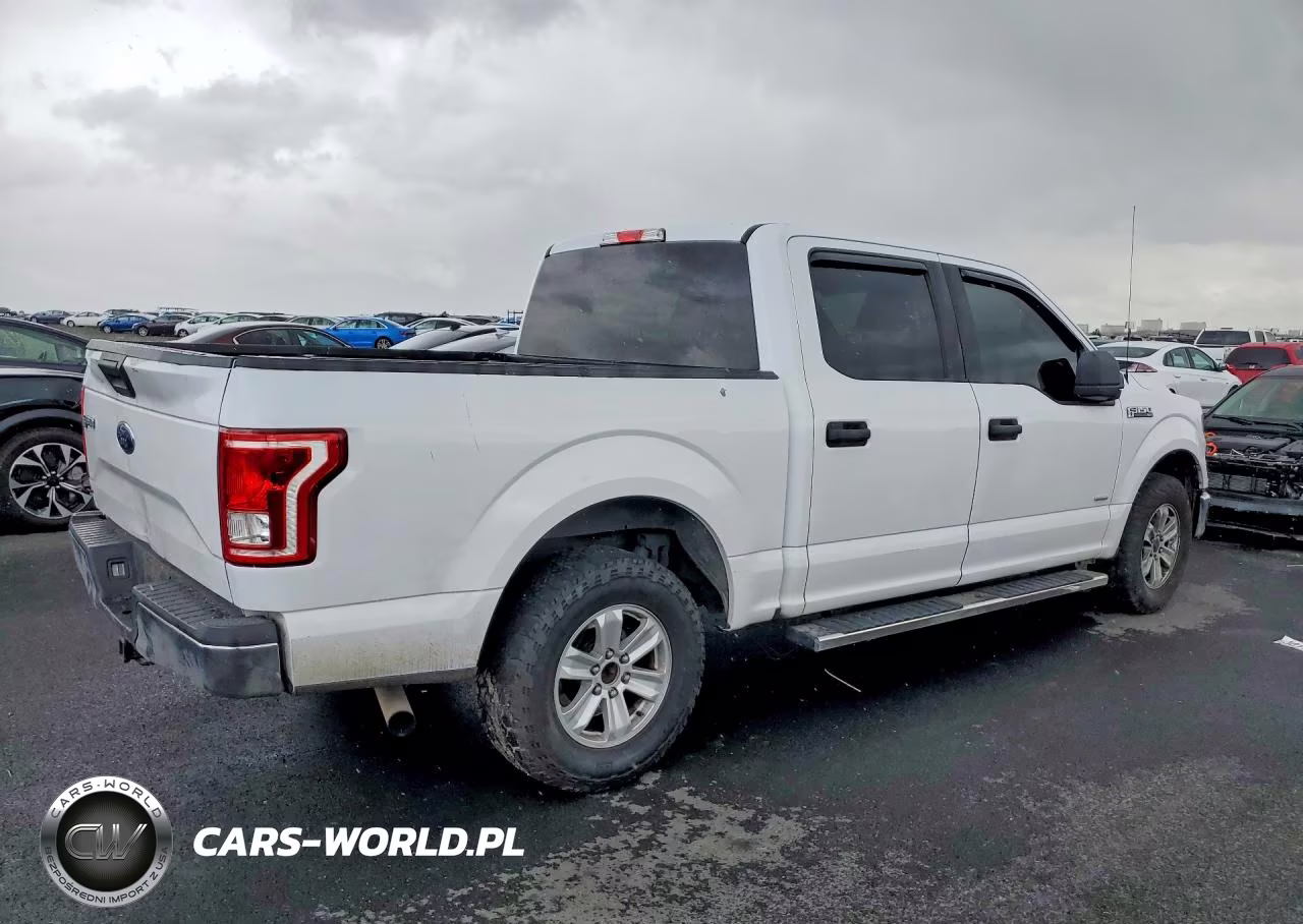 2016 Ford F150 Supercrew VIN:1FTEW1CG1GKD45765 - 3
