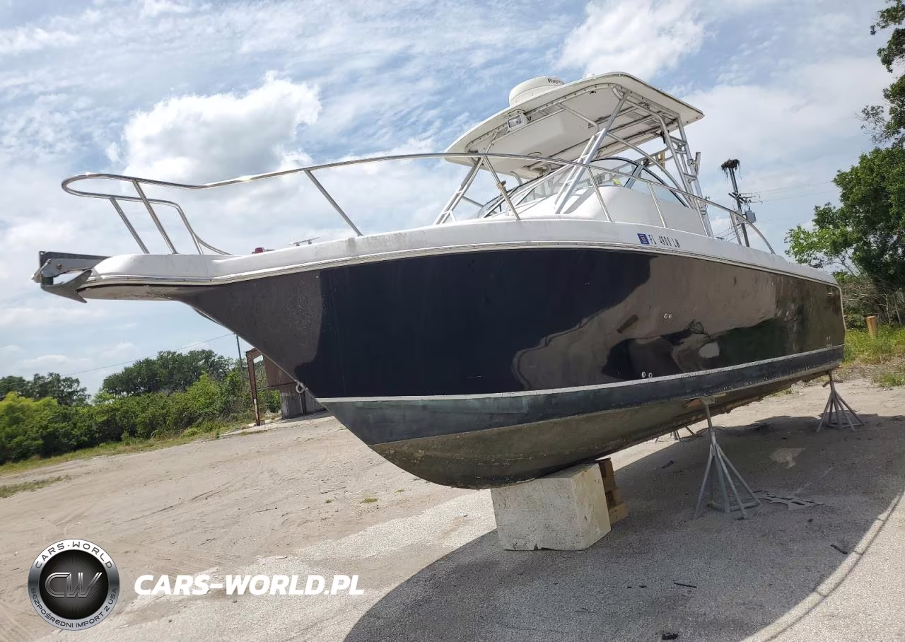 2001 Pro Sports Boat