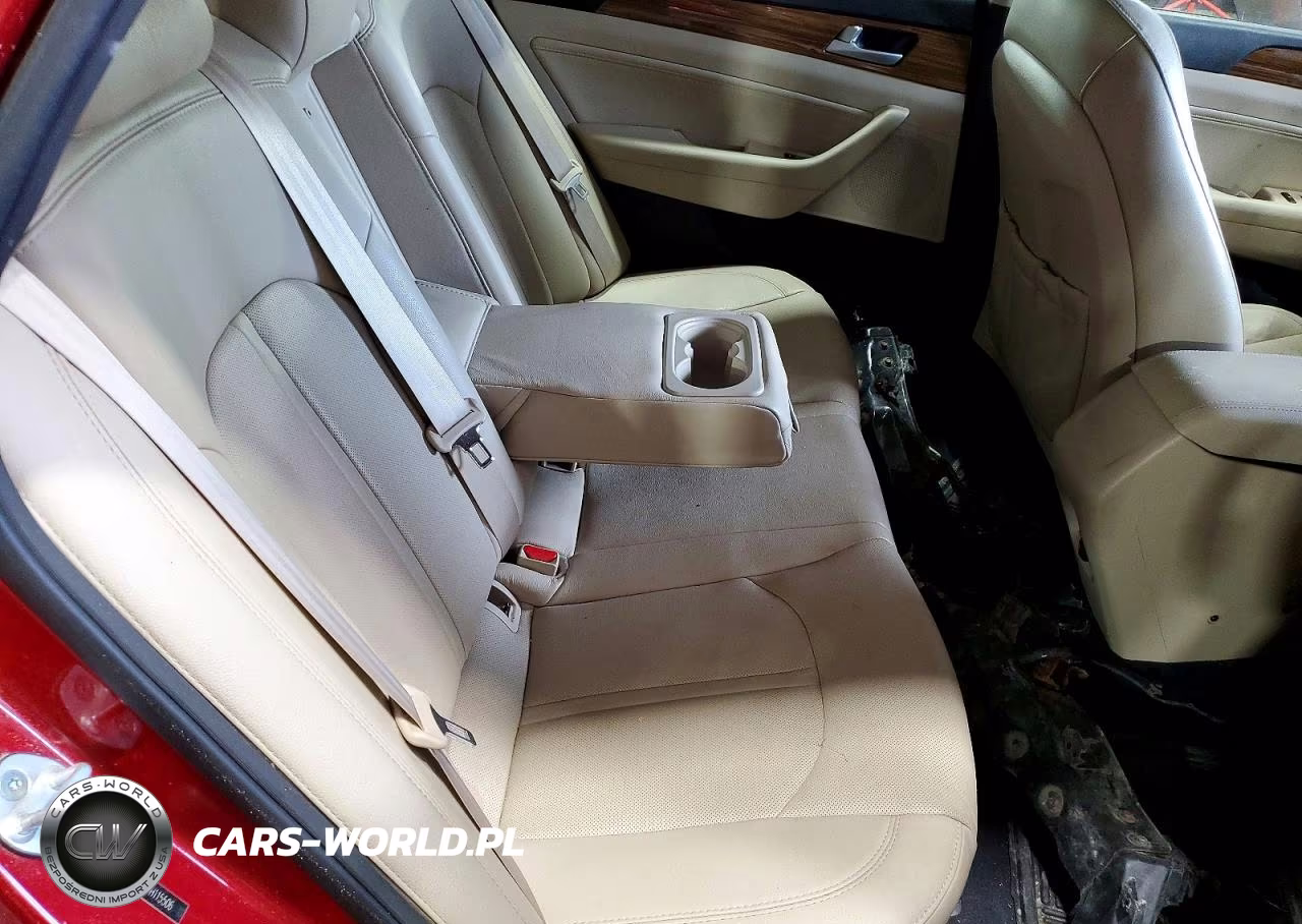 2015 Hyundai Sonata Eco VIN:5NPE24AAXFH115506 - 10