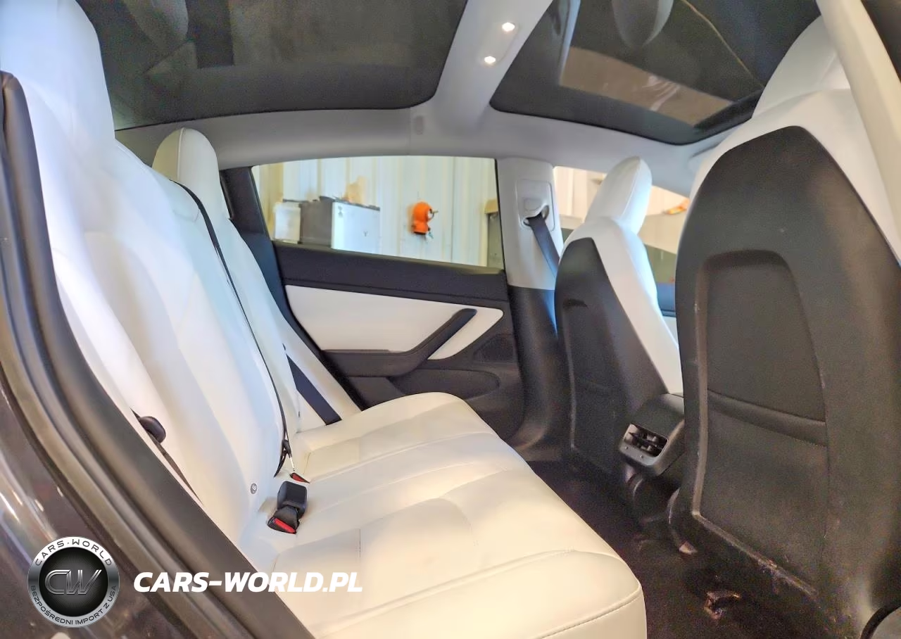 2018 Tesla Model 3 VIN:5YJ3E1EB6JF085606 - 10