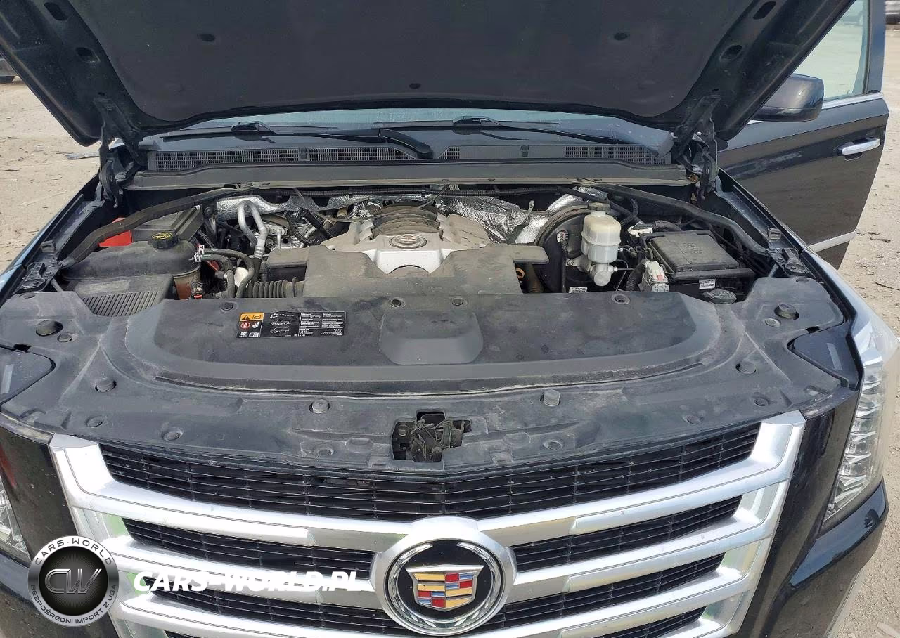 2015 Cadillac Escalade Luxury VIN:1GYS4BKJ2FR246576 - 12