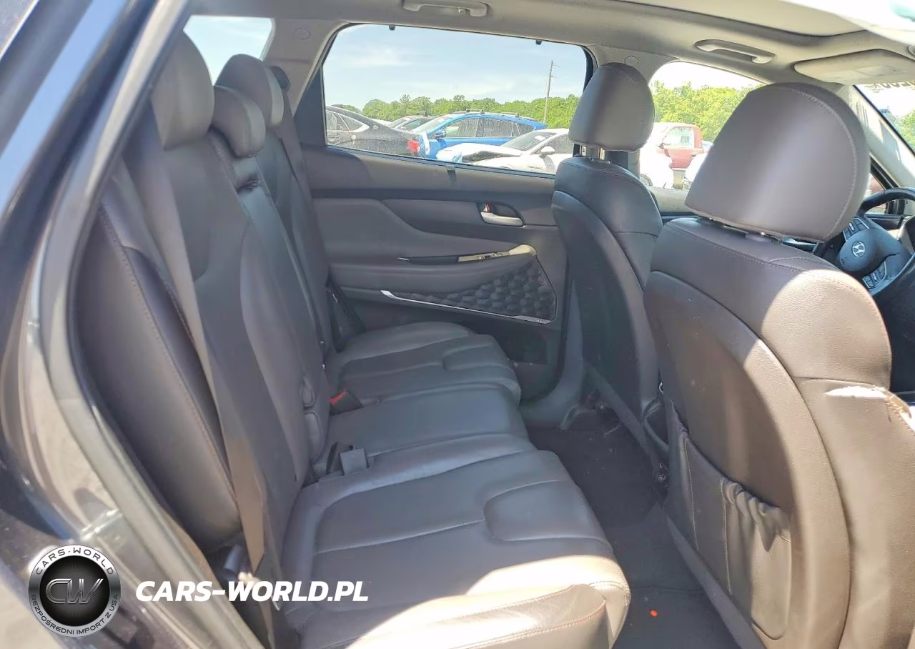 2020 Hyundai Santa Fe Limited 2.0T VIN:5NMS53AA9LH224617 - 10