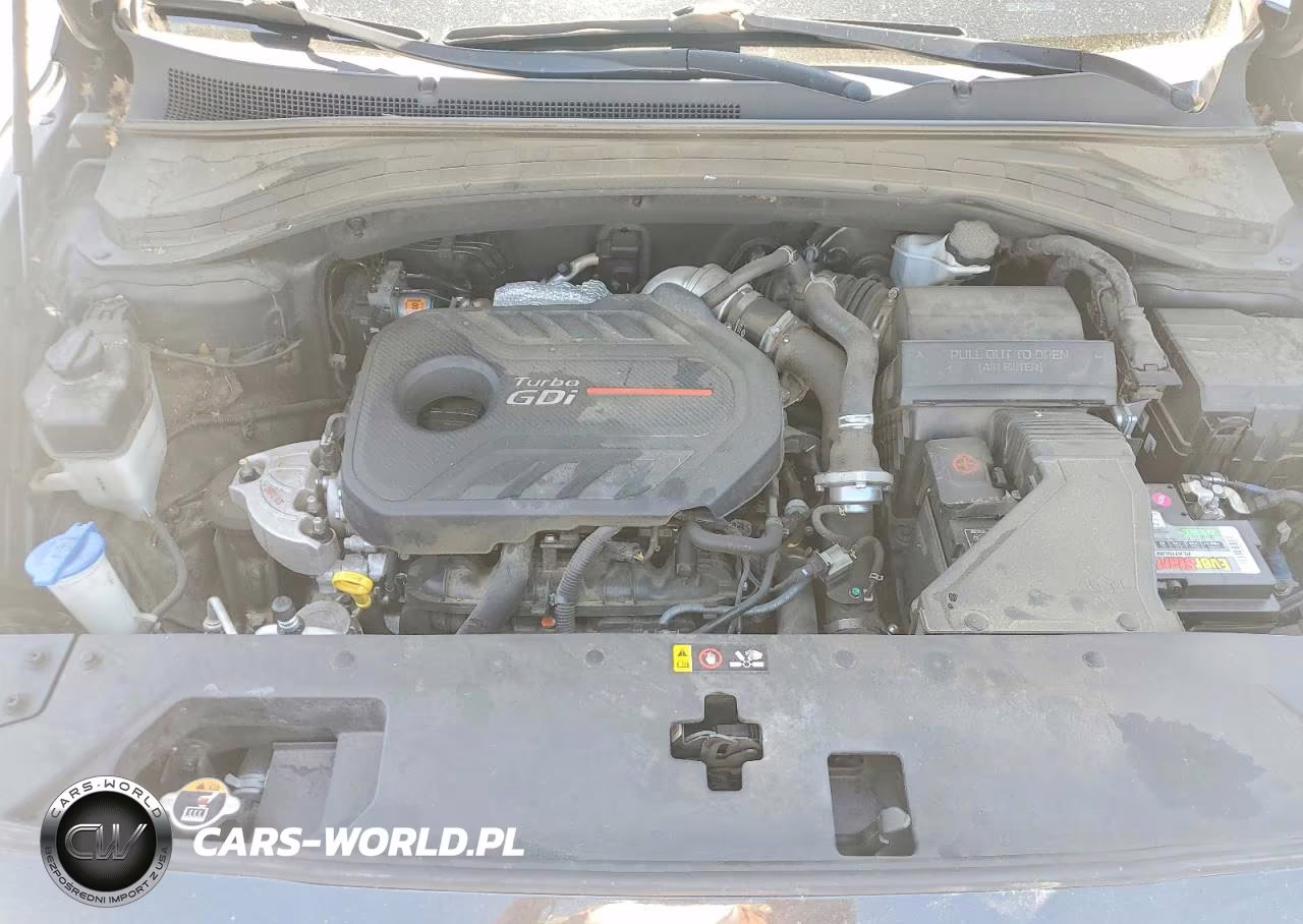 2020 Hyundai Santa Fe Limited 2.0T VIN:5NMS53AA9LH224617 - 11