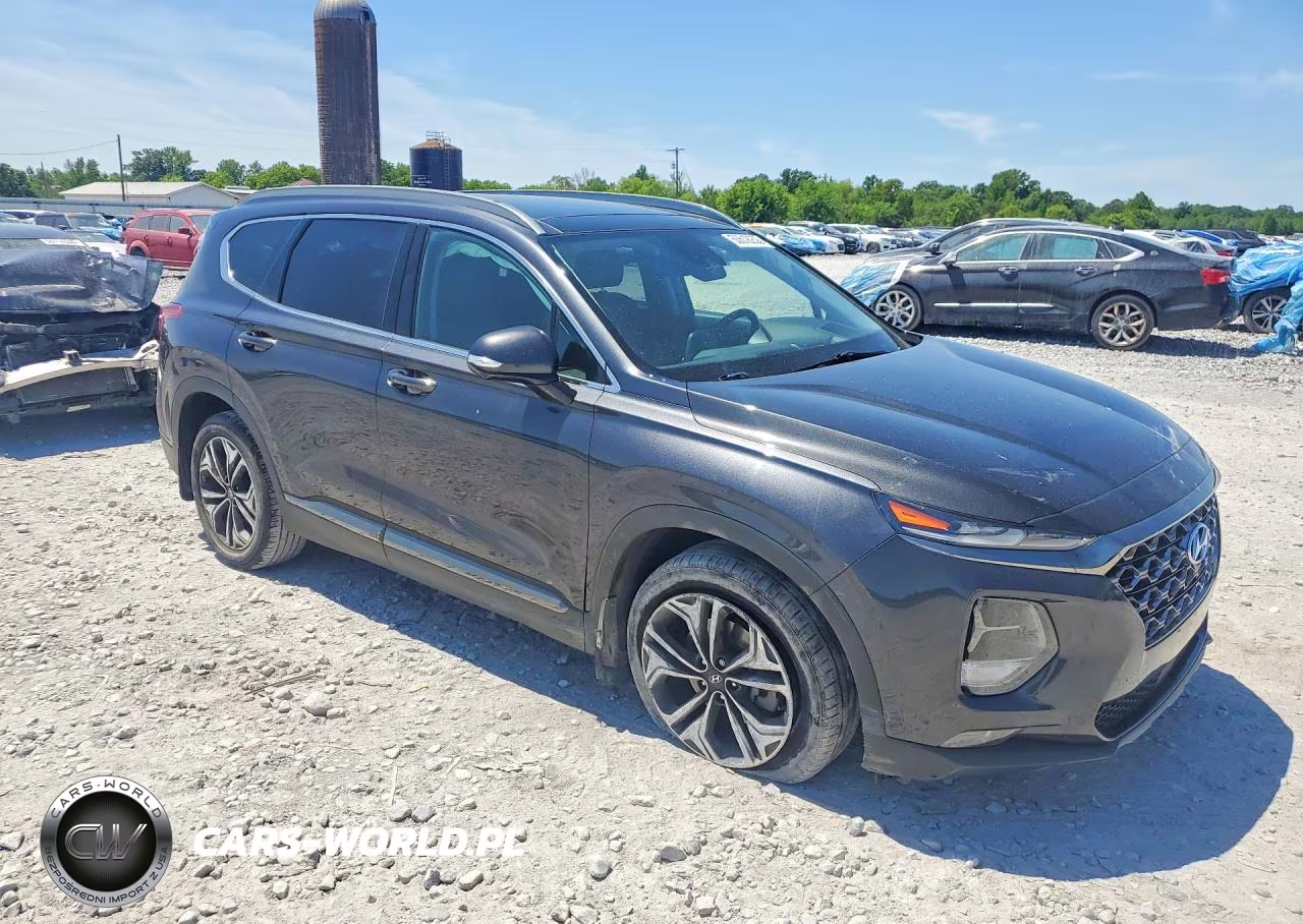 2020 Hyundai Santa Fe Limited 2.0T VIN:5NMS53AA9LH224617 - 4