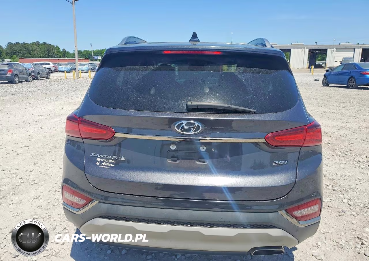 2020 Hyundai Santa Fe Limited 2.0T VIN:5NMS53AA9LH224617 - 6