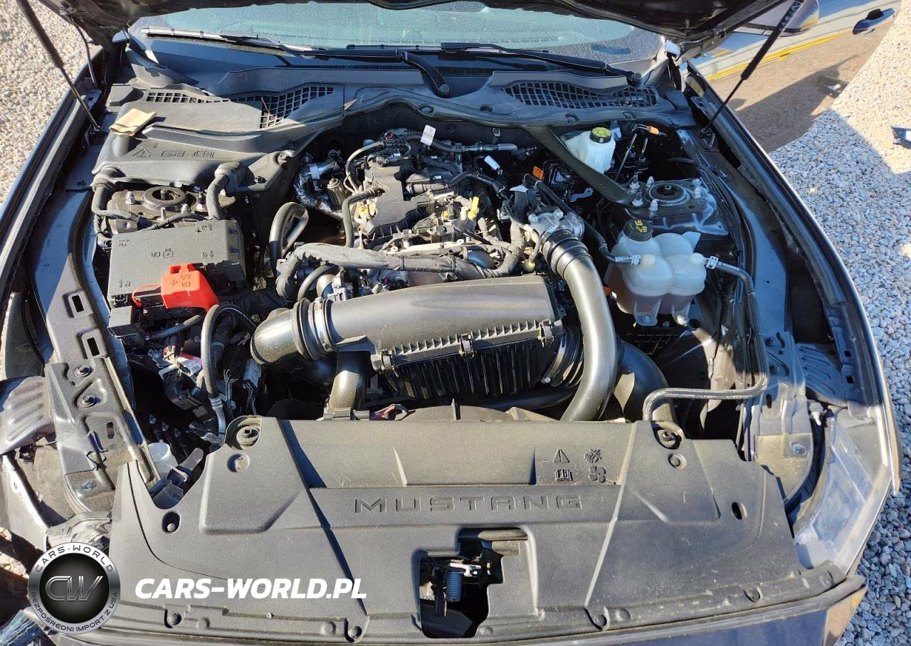 2024 Ford Mustang VIN:1FAGP8UH6R5129164 - 11