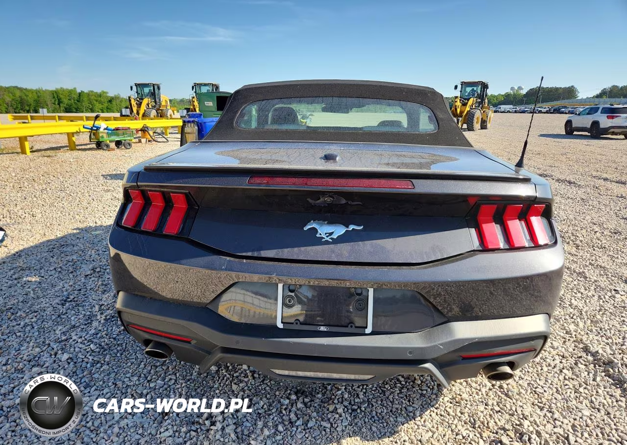 2024 Ford Mustang VIN:1FAGP8UH6R5129164 - 6