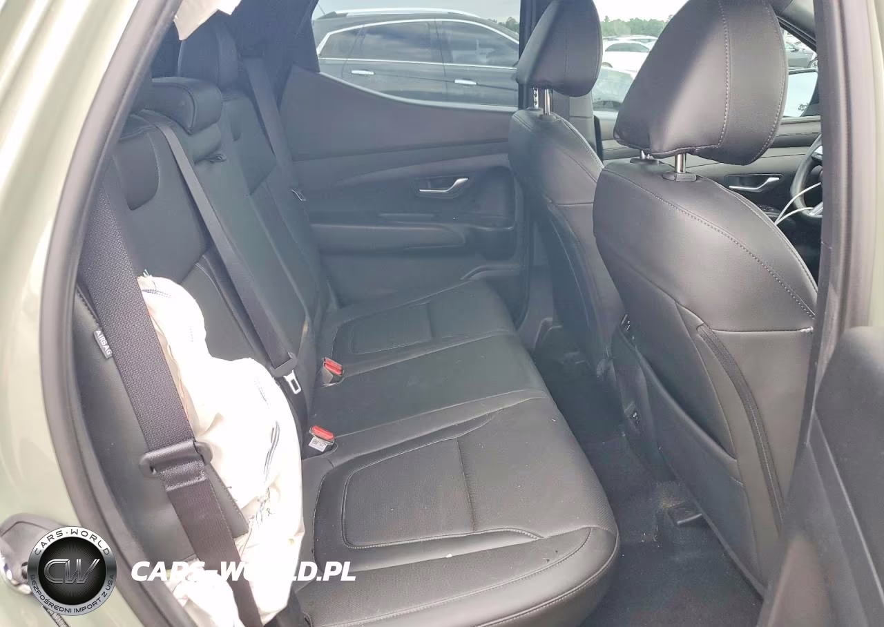 2025 Hyundai Santa Cruz Sel VIN:5NTJB4DE0SH142996 - 10