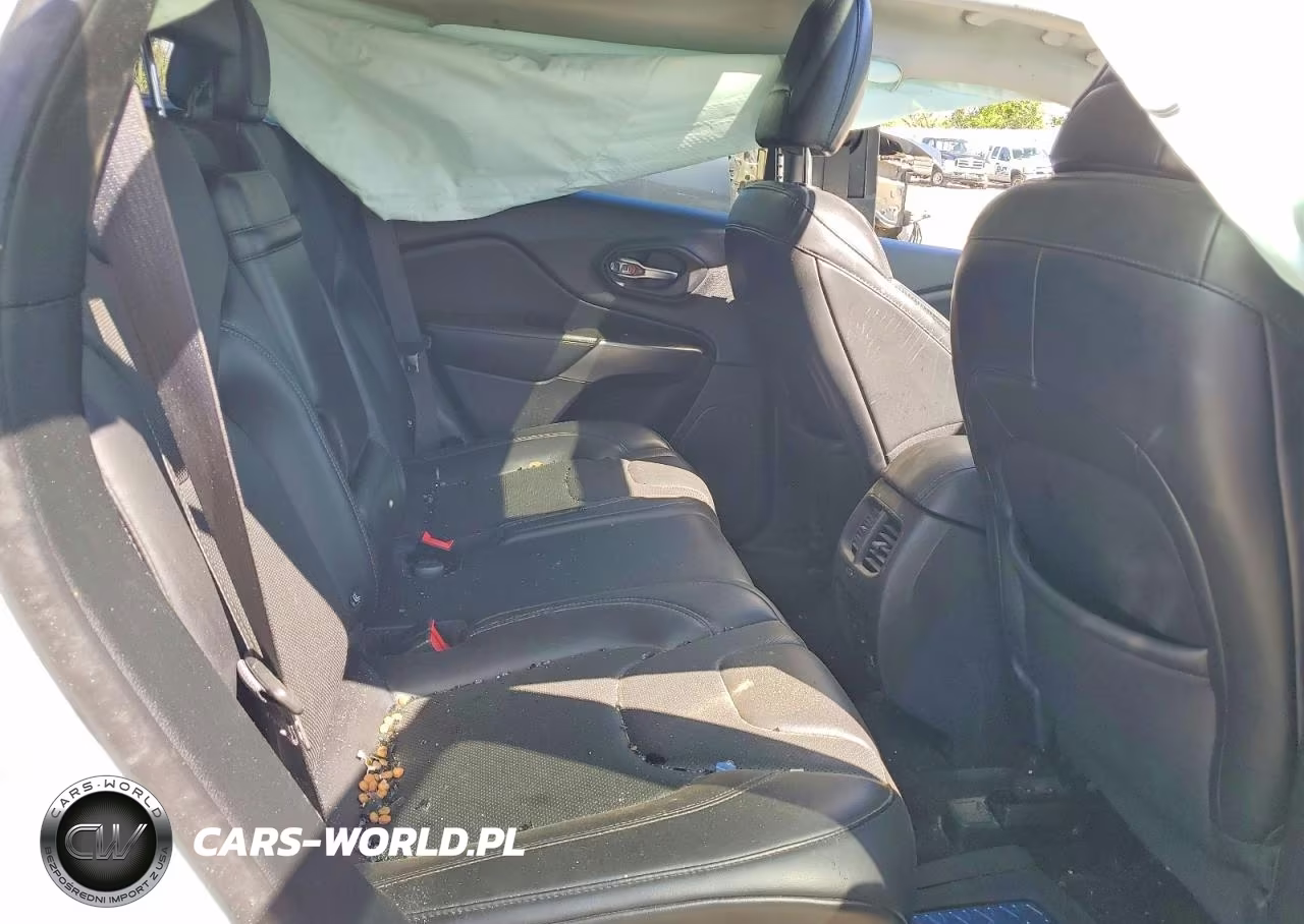 2019 Jeep Cherokee Limited VIN:1C4PJMDX6KD104420 - 11