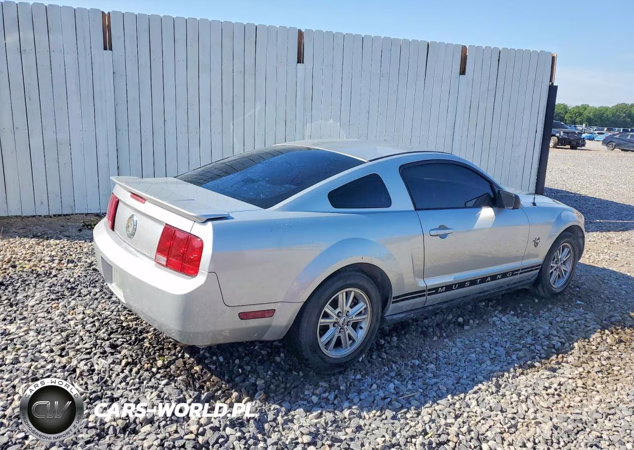 2009 Ford Mustang VIN:1ZVHT80N095112329 - 3
