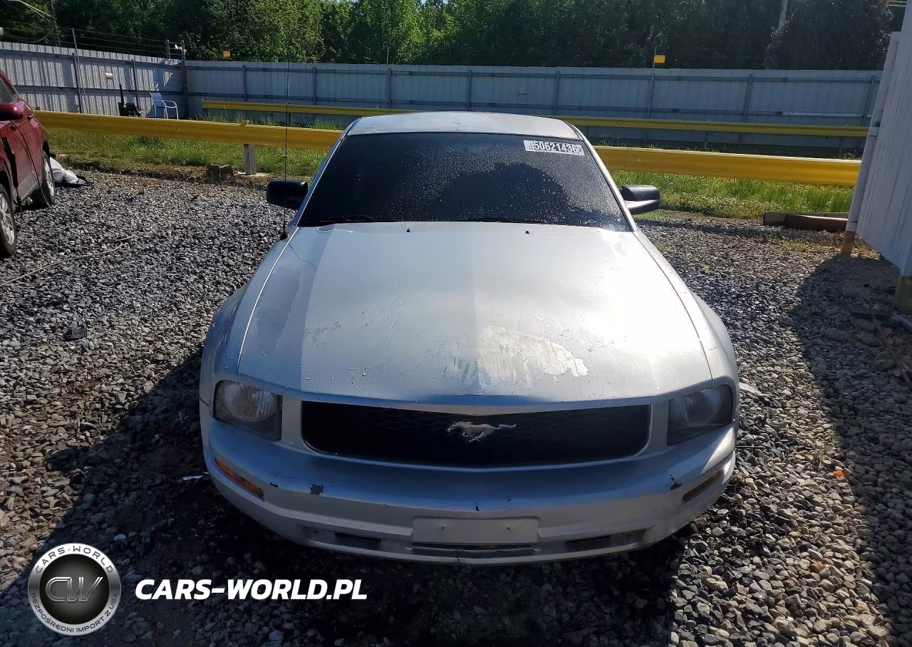 2009 Ford Mustang VIN:1ZVHT80N095112329 - 5