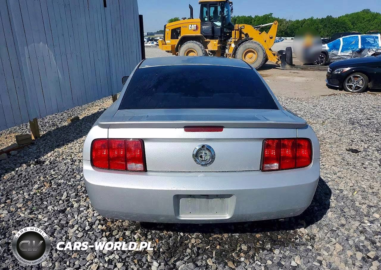 2009 Ford Mustang VIN:1ZVHT80N095112329 - 6